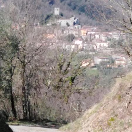La Difesa Lägenhet San Romano  Exteriör bild